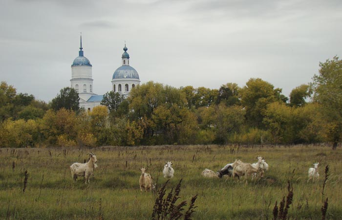 И на фоне храма небольшое стадо коз. Идиллия. Фото Л.Пахомовой